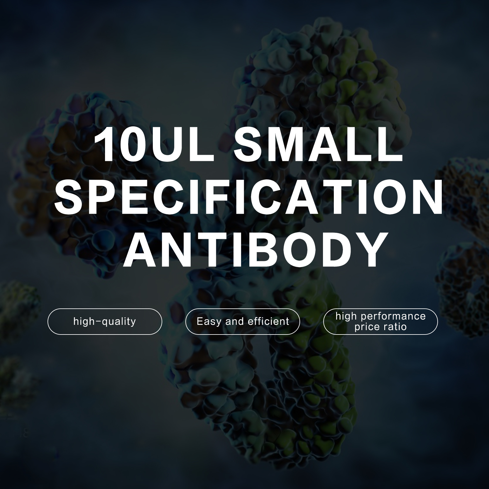 10ul antibody