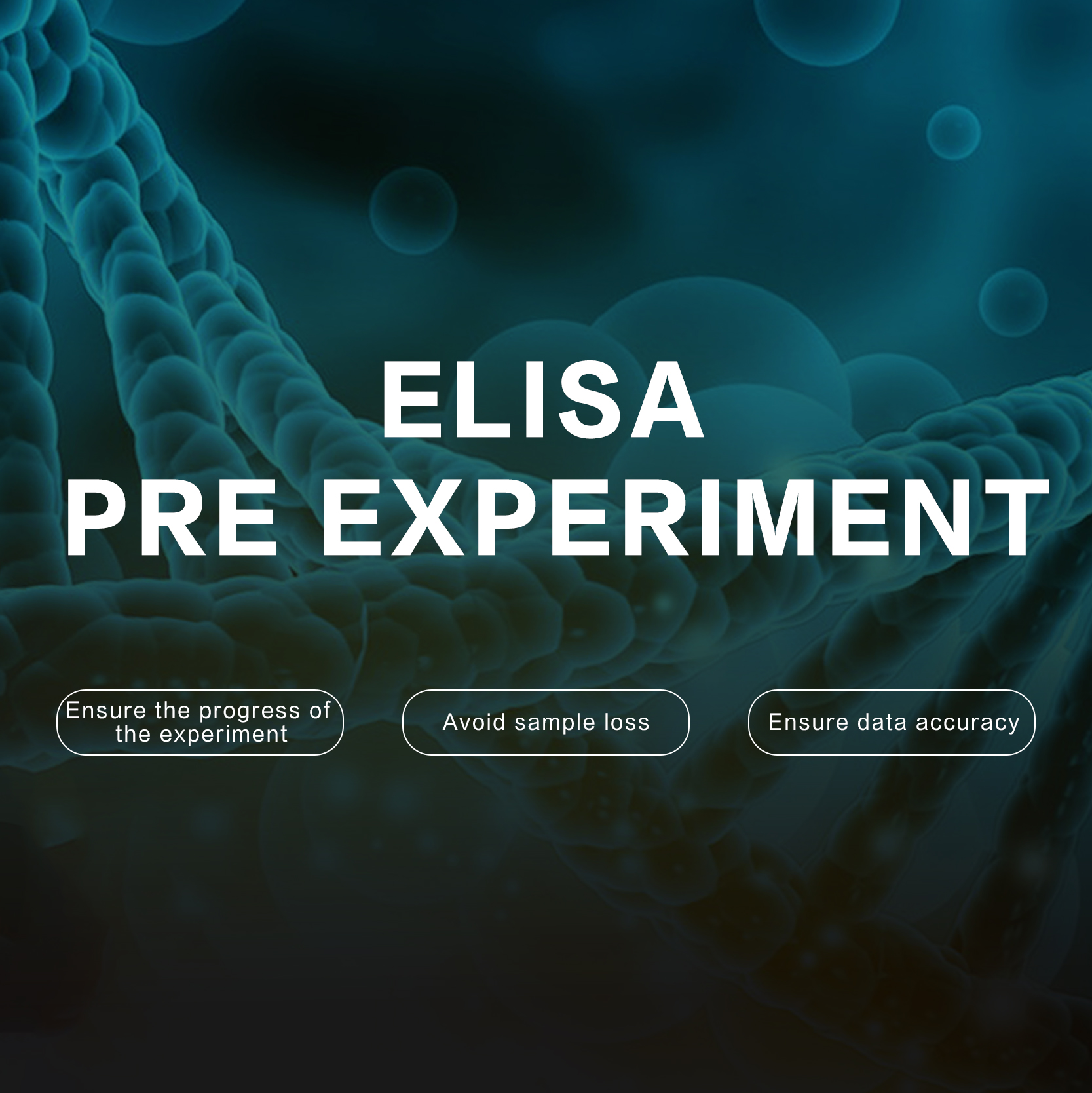 ELISA preliminary test